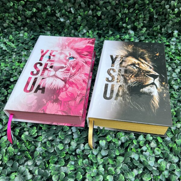 Kit 2 Bíblias Yeshua Dourada e Yeshua Rosa com Harpa e com Índice Casal Cristão
