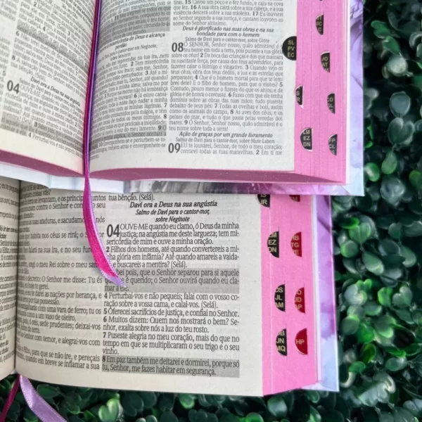 Kit Mãe e Filha Bíblia Grande e MINI Seja Forte e Corajosa com Harpa e com Índice - Imagem 4