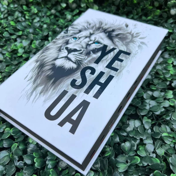 Bíblia Sagrada Yeshua (Jesus) Capa Dura Com Harpa e Índice Versão ARC - Imagem 8