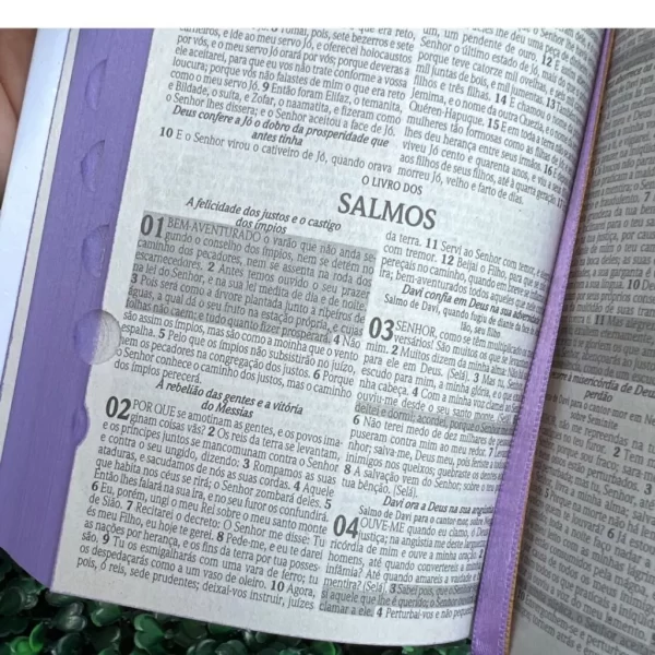 Mini Bíblia de bolsa Herdeira da Coroa Roxa com índice letra pequena ARC - Imagem 2