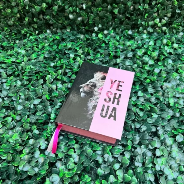 Mini Bíblia de bolsa Yeshua (Jesus) Rosa com índice letra pequena ARC - Imagem 5