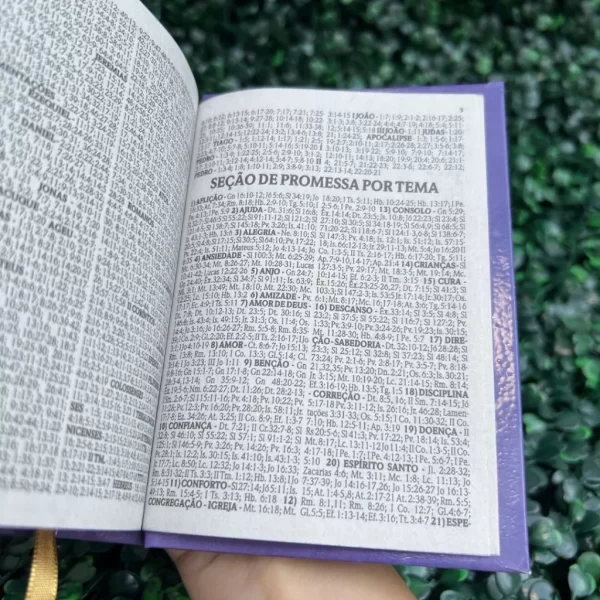 Mini Bíblia de bolsa Herdeira da Coroa Roxa com índice letra pequena ARC - Imagem 8