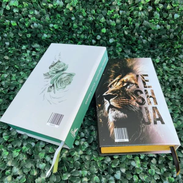Kit 2 Bíblias Seja Forte e Corajosa Verde e Yeshua Dourada com Harpa e com Índice Casal Cristão - Imagem 5