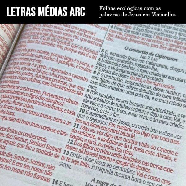 Kit 2 Bíblias Jesus Rei dos Reis Rosa e Preta com Harpa e com Índice Casal Cristão - Imagem 2