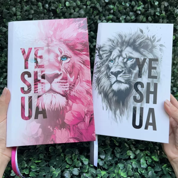 Kit 2 Bíblias Yeshua Rosa e Yeshua Branca com Harpa e com Índice Casal Cristão