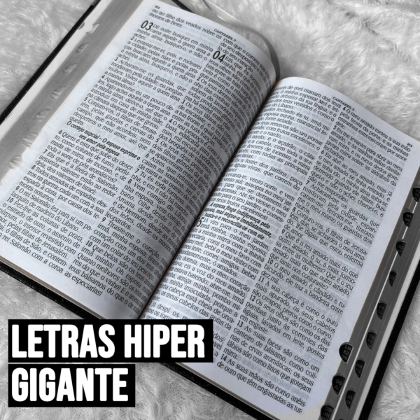 Kit 2 Bíblias Sagradas Herdeira da Coroa Rosa e Leão Jesus com Harpa e com Índice - Imagem 4