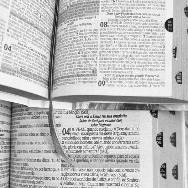 Kit Pai e Filho Bíblia Grande e MINI Yeshua Dourada com Harpa e com Índice - Imagem 2