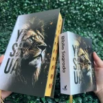 kit-biblias-masculinas.webp