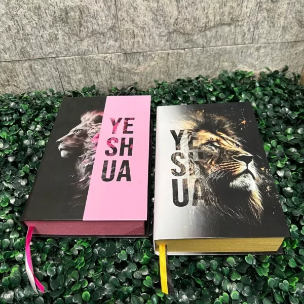 Kit 2 Bíblias Yeshua Rosa e Yeshua Dourada com Harpa e com Índice Casal Cristão