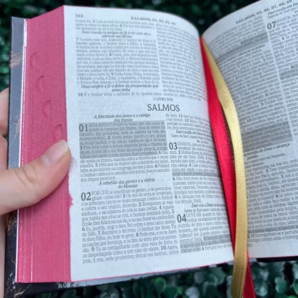 Mini Bíblia de bolsa leão e rosas com índice letra pequena ARC - Imagem 2