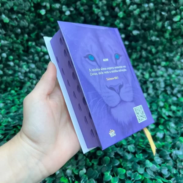 Mini Bíblia de bolsa Herdeira da Coroa Roxa com índice letra pequena ARC - Imagem 6