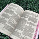 bíblia-sagrada-palavras-de-jesus-em-destaque-indice-herdeiro-da-coroa