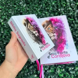 biblia-grande-e-pequena-de-bolsa-feminina-rosa.webp