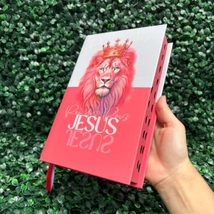 biblia-jesus-feminina-com-harpa.webp