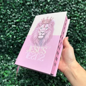 biblia-jesus-feminina-rei-dos-reis-rosa-1.webp