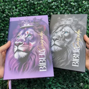 biblia-kit-leao-jovem.webp