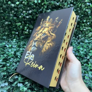 biblia-leao-masculina-jovem-ele-reina.webp